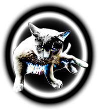 Load image into Gallery viewer, Cool Cat #2
