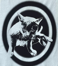 Load image into Gallery viewer, Cool Cat
