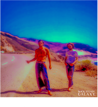 Load image into Gallery viewer, Hippie Hitchhikers #1  Sustainable Hoodie &amp; Hoodie Jacket
