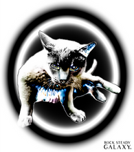 Load image into Gallery viewer, Cool Cat
