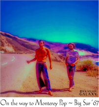 Load image into Gallery viewer, Hippie Hitchhikers
