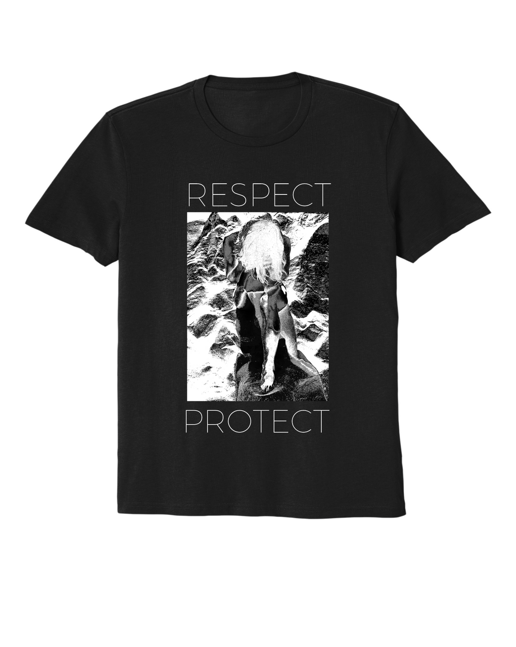 Respect! Protect! #1